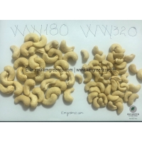 Vietnamese Cashew Nut Kernels WW180