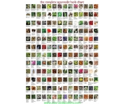 All Kind Of Ayurvedic Herb And Raw Herb, Ayurvedic Powder