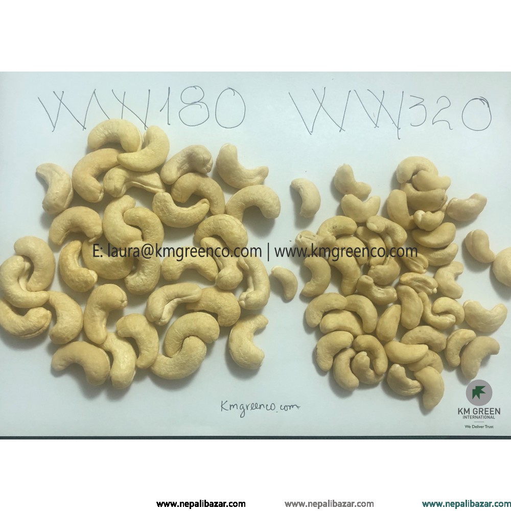 Vietnamese Cashew Nut Kernels WW180