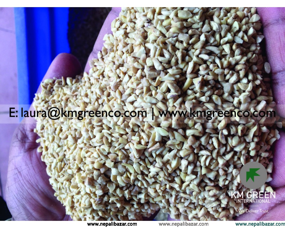 Vietnamese Cashew Nut Kernels