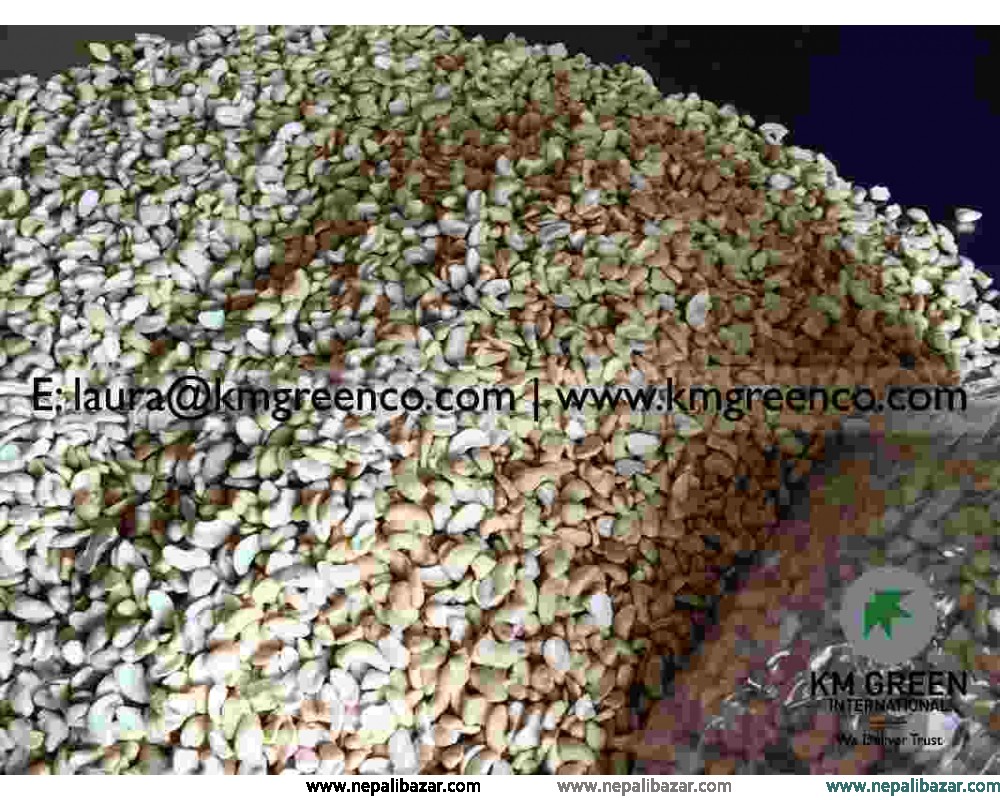 Vietnamese Cashew Nut Kernels LP