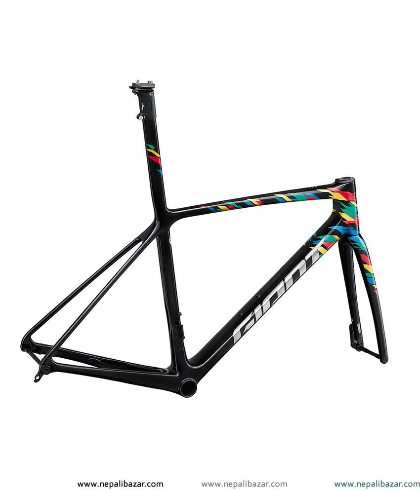 2022 Giant TCR Advanced SL Disc LTD Frameset (BAMBO BIKE)