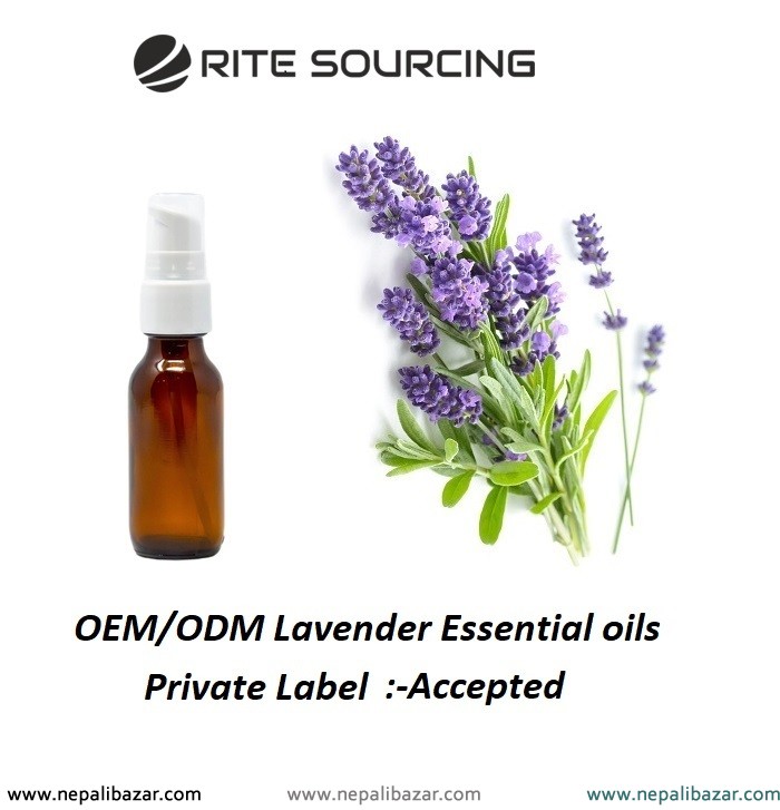 Lavender Essential Oil