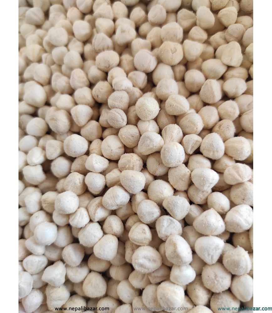 Moringa Kernel Seeds