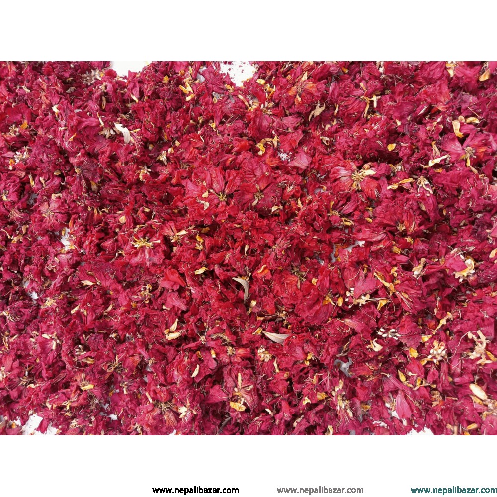 Hibiscus Dry Flowers