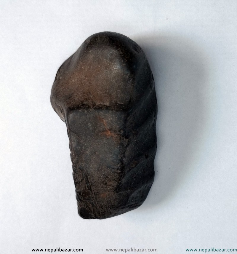 Sacred Shaligram  Stone